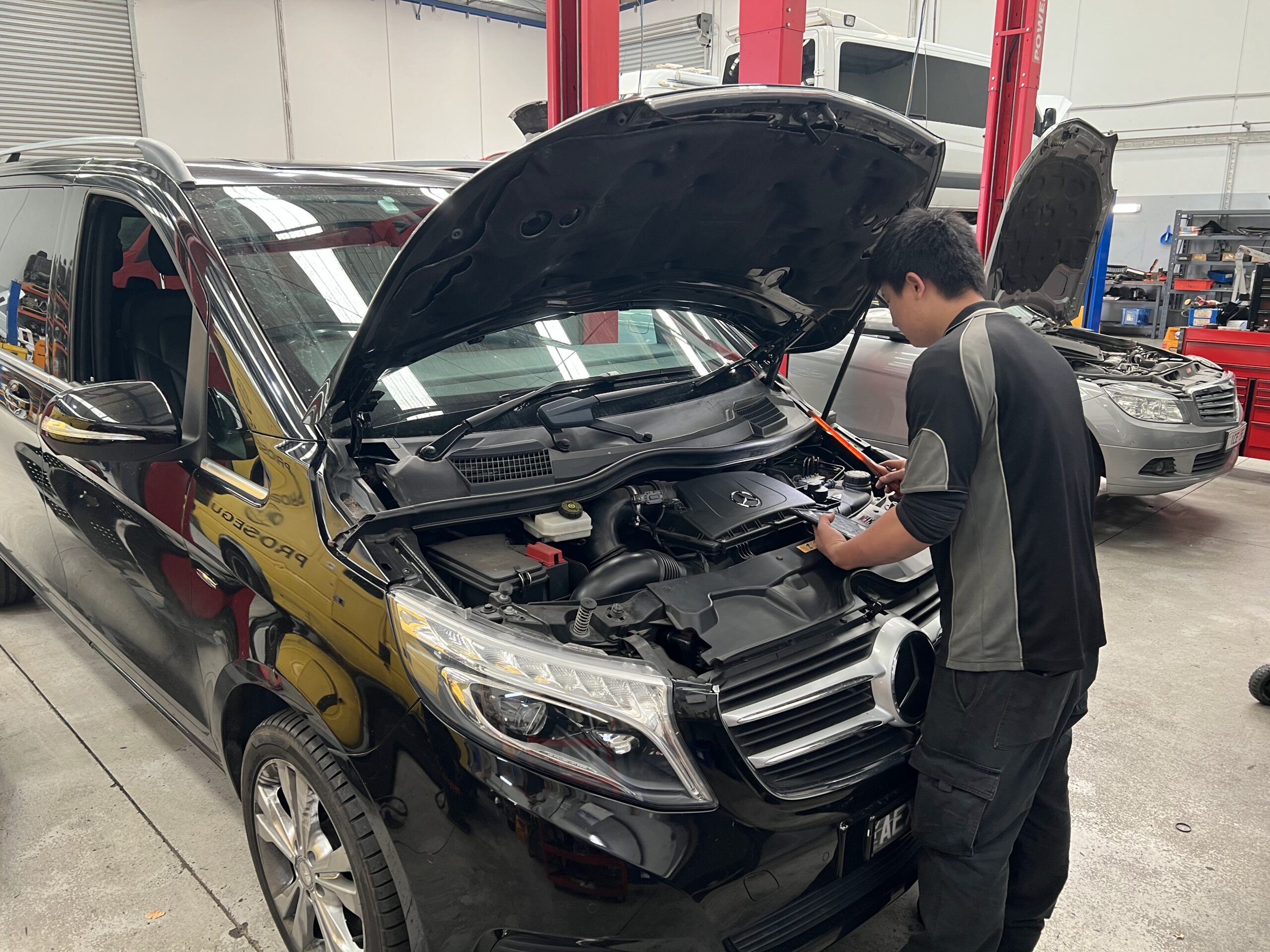 mercedes valente service in prgoress at eurostar diesels